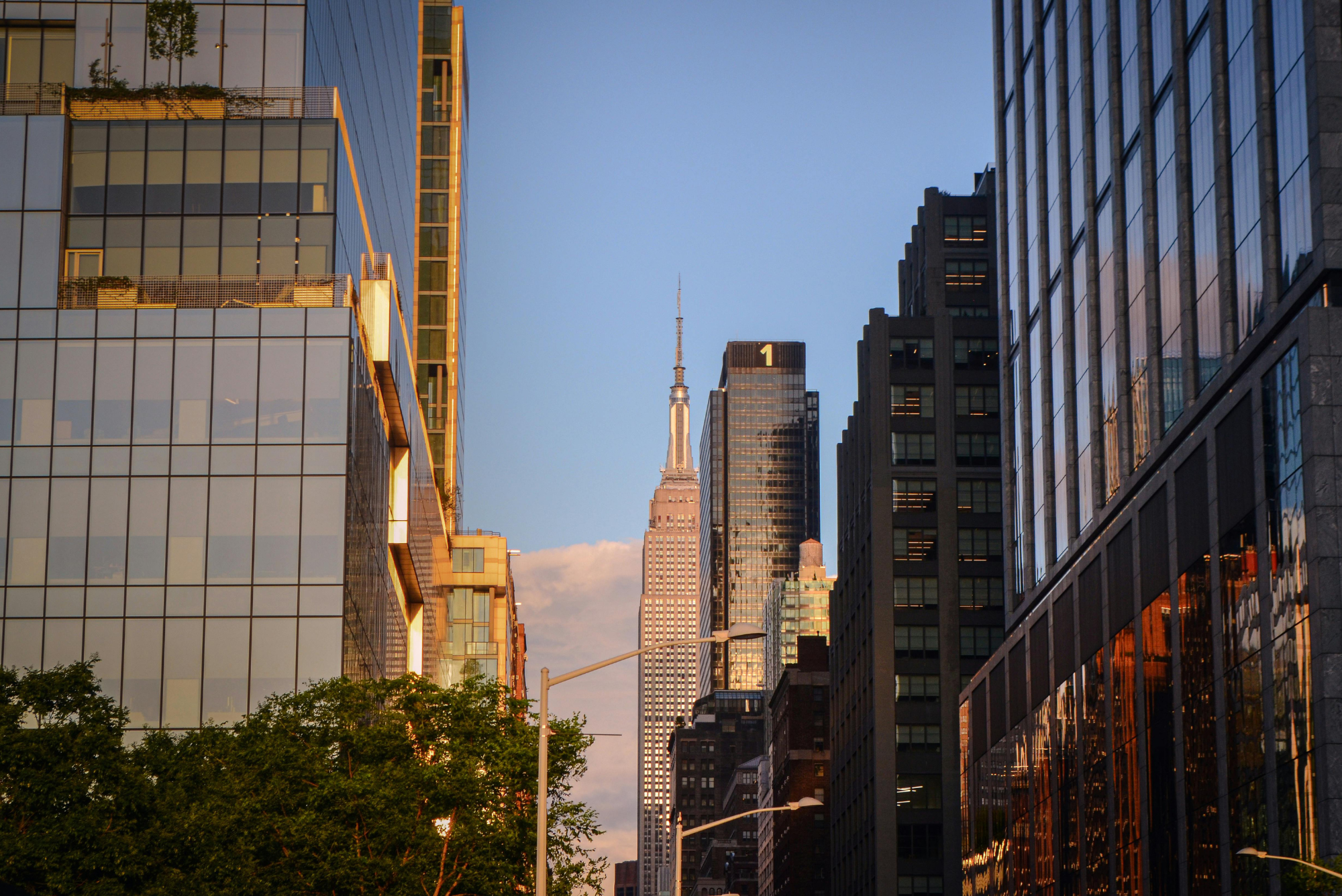 bookkeeping-services-new-york-growth